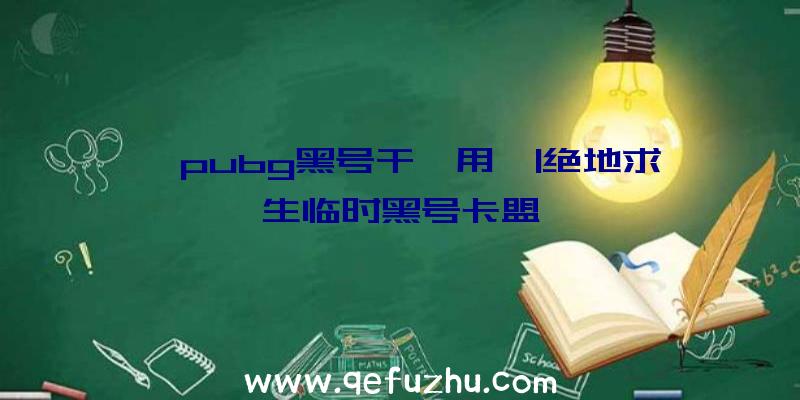 「pubg黑号干嘛用」|绝地求生临时黑号卡盟